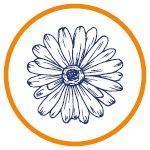 G10395_GS_BET XXL_RC_Benu_zari20255