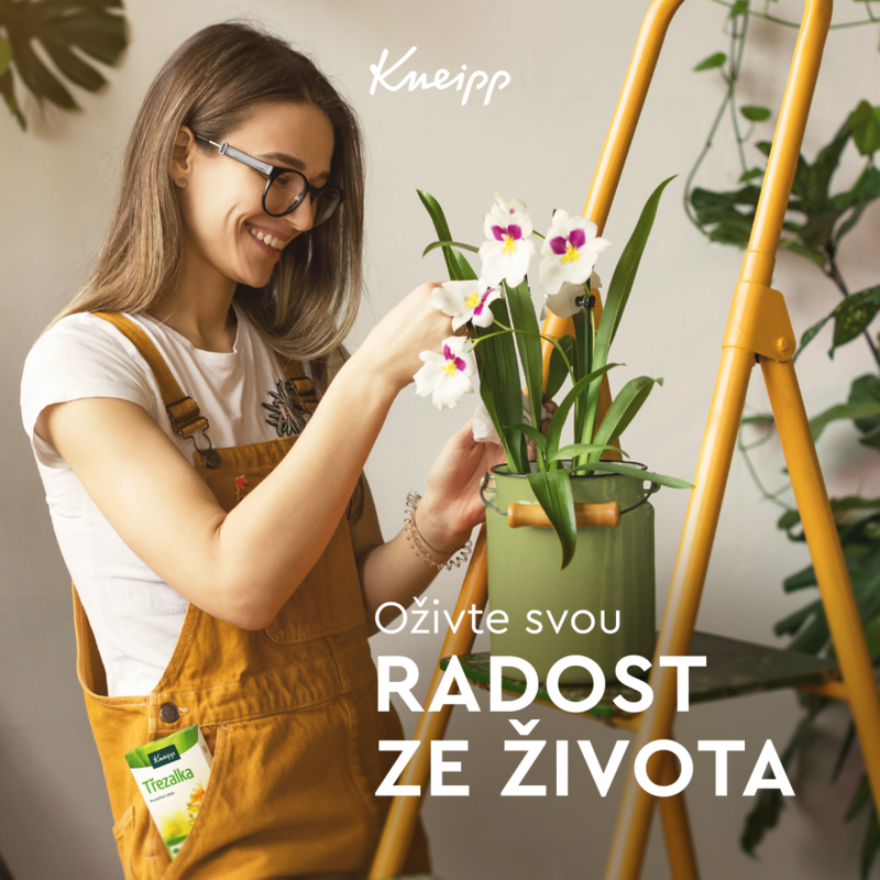 Kneipp_Třezalka_3