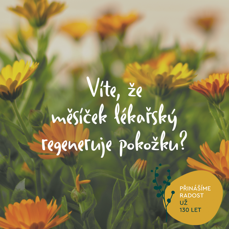 vite,ze-mesicek
