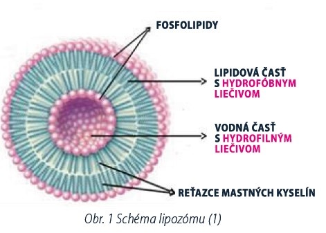 Lipozom