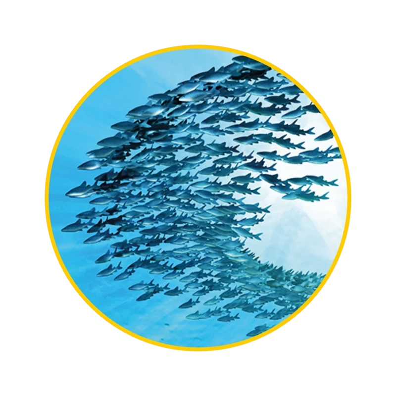 omega-2