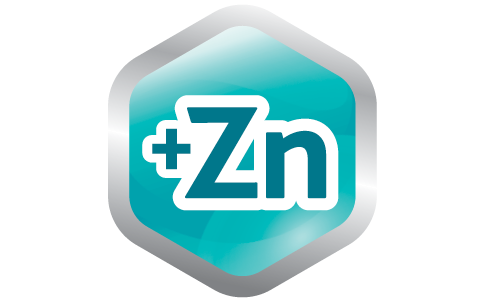 slozeni-zinek