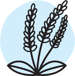 prirodna_modra@200x