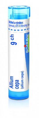 Allium cepa 9.jpg