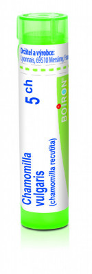 Chamomilla vulgaris 5.jpg