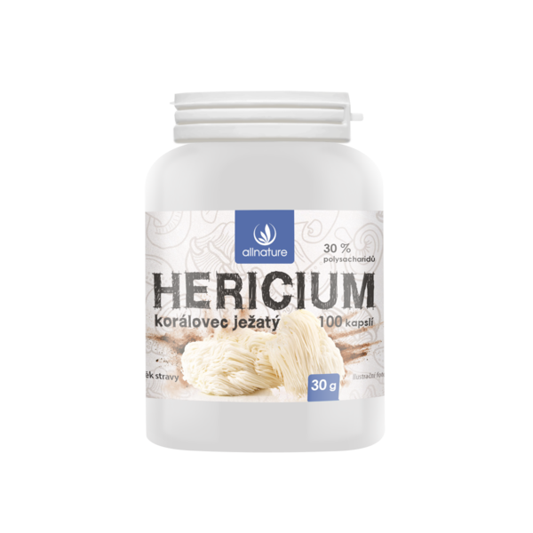 Houby_hericium_vizualizace_png (1)
