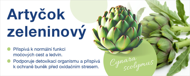 banner-artycok-1000x400