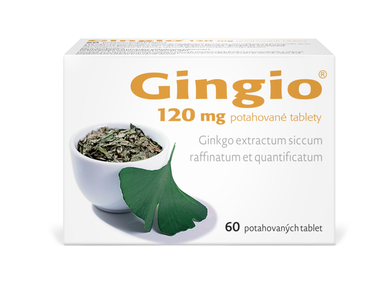 Gingio_120_60tbl_F_2025_nove_logo