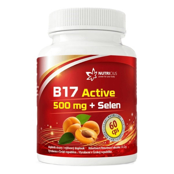 B17 Active