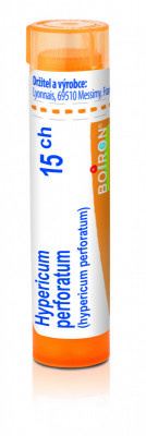 Hypericum perforatum 15.jpg