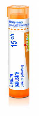 Ledum palustre 15.jpg