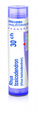 Rhus toxicodendron 30.jpg