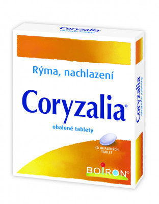 3D CORYZALIA P 10-2019.jpg