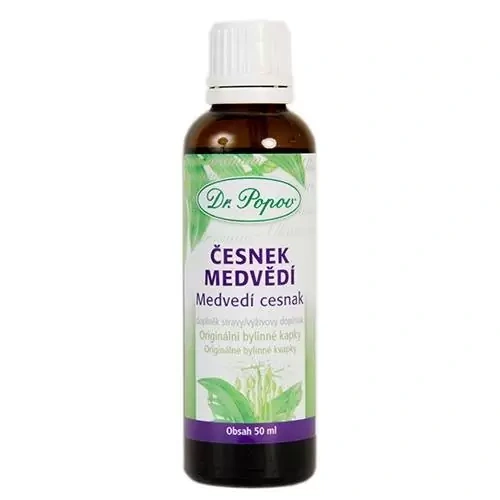 cesnek-medvedi