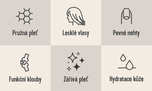 500x300-icons-matcha-02