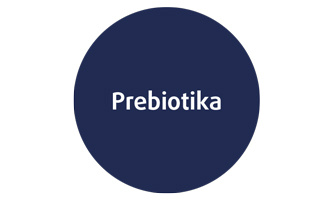 Forte_Infografika_5ku3-8