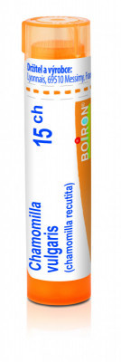 Chamomilla vulgaris 15.jpg