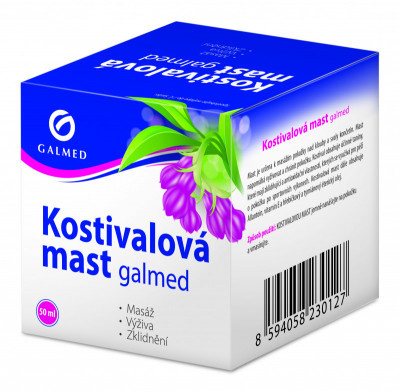 KOSTIVALOVA MAST.jpg