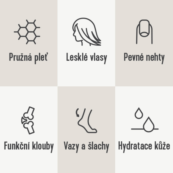icons-CZ