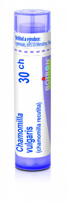 Chamomilla vulgaris 30.jpg