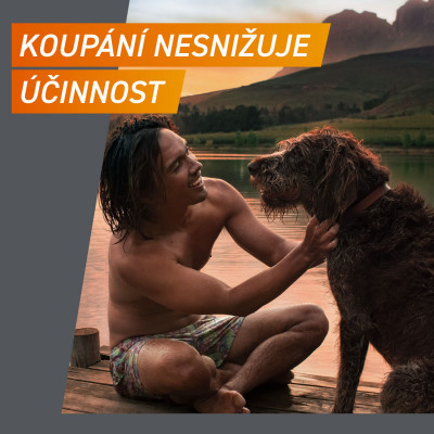 fronpro koupani