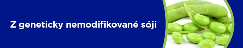 new-mle-web-1