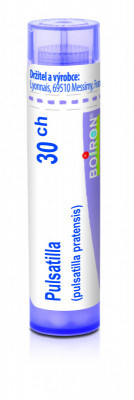 Pulsatilla 30.jpg