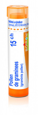 Pollen de graminees 15.jpg