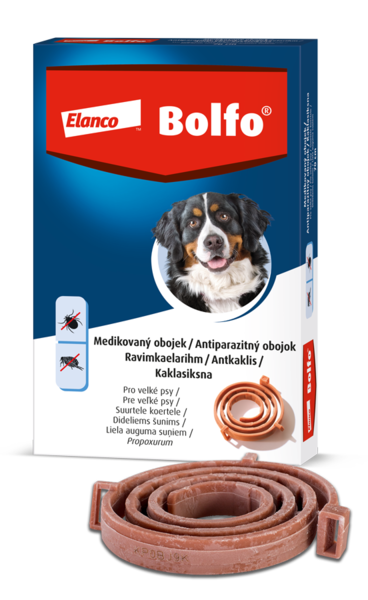 IN24-087_Bolfo-obojek-vpravo-velci