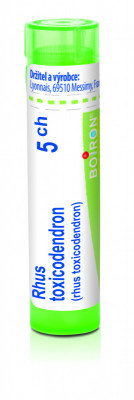 Rhus toxicodendron 5.jpg