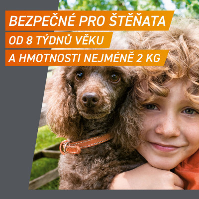 frontpro štěnata