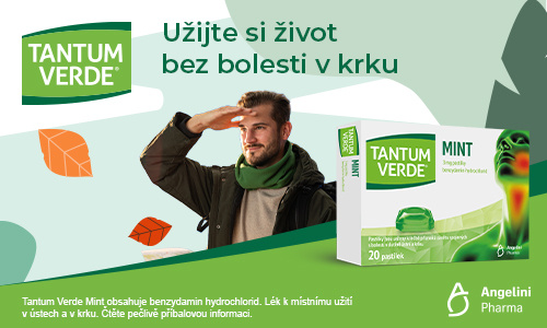 500x300_mint