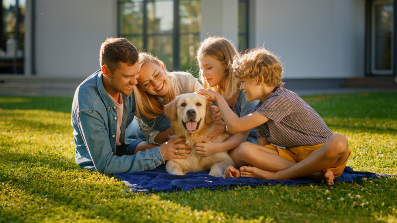 shutterstock_1853535736