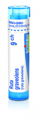 Ruta graveolens 9.jpg