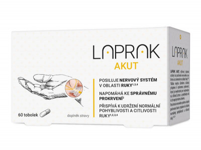 30085113-laprak-60-tob.jpeg