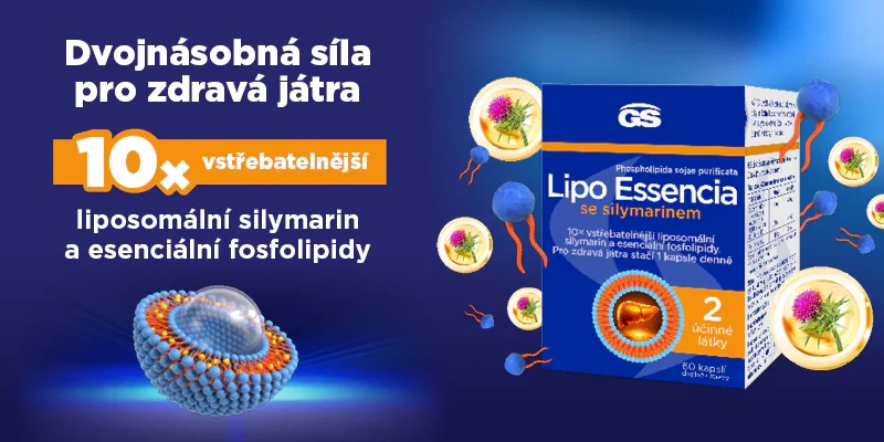 gxxx-gs-lipo-ess-banner-nl-cerven2025