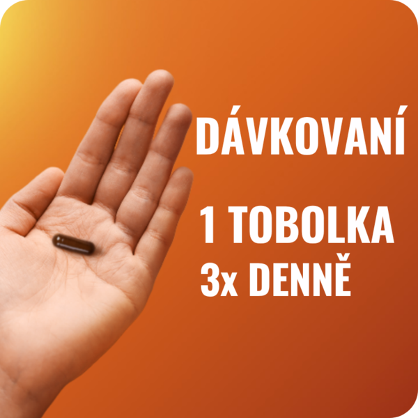 Essentiale Forte Images next to the text 850x850 2