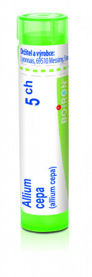 Allium cepa 5.jpg