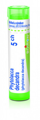Phytolacca decandra 5.jpg