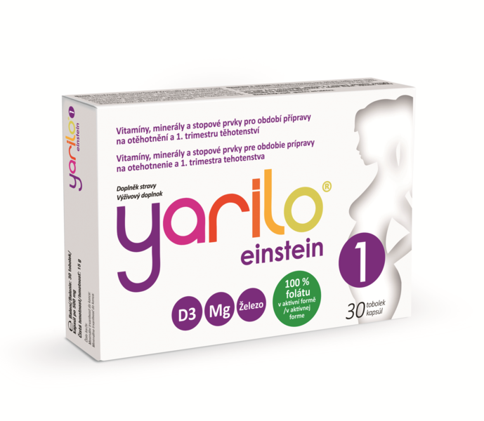 Yarilo_einstein_1_box_3D_L