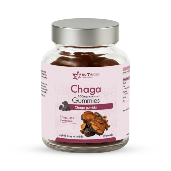 NUTRICIUS_lekovka_mushrooms_Chaga