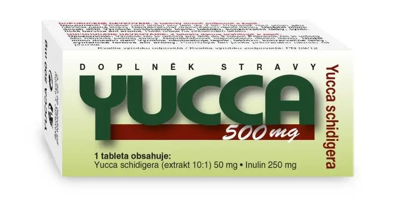 yucca
