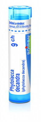 Phytolacca decandra 9.jpg
