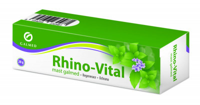 RHINO.jpg