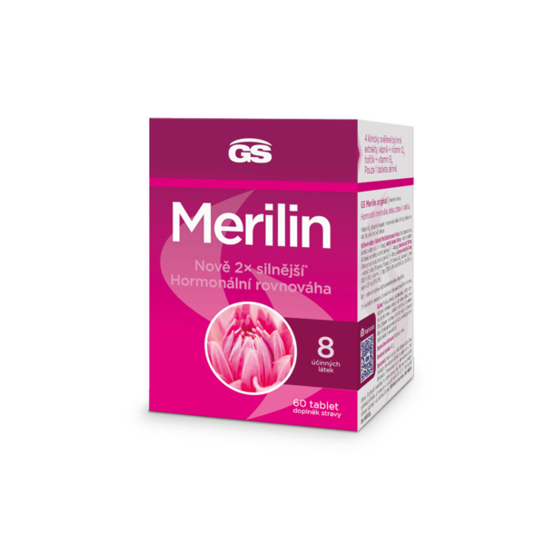 GS_MERILIN_banner_1