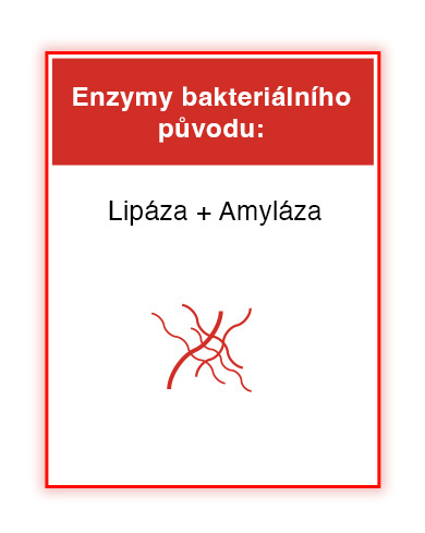 Ucinne_slozky_3