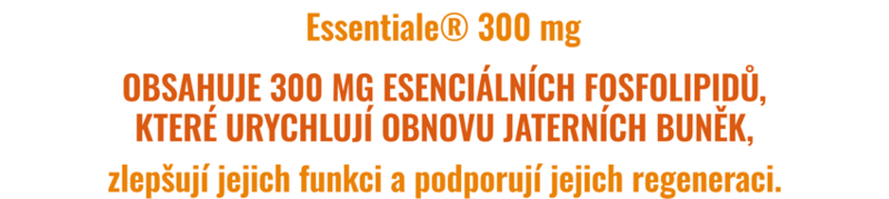 Essentiale Banner 2