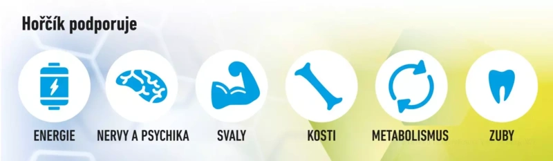 Vystrizek-Mg_-1536x447
