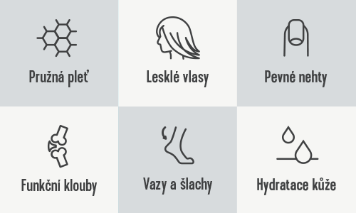 500x300-icons-02 kopie