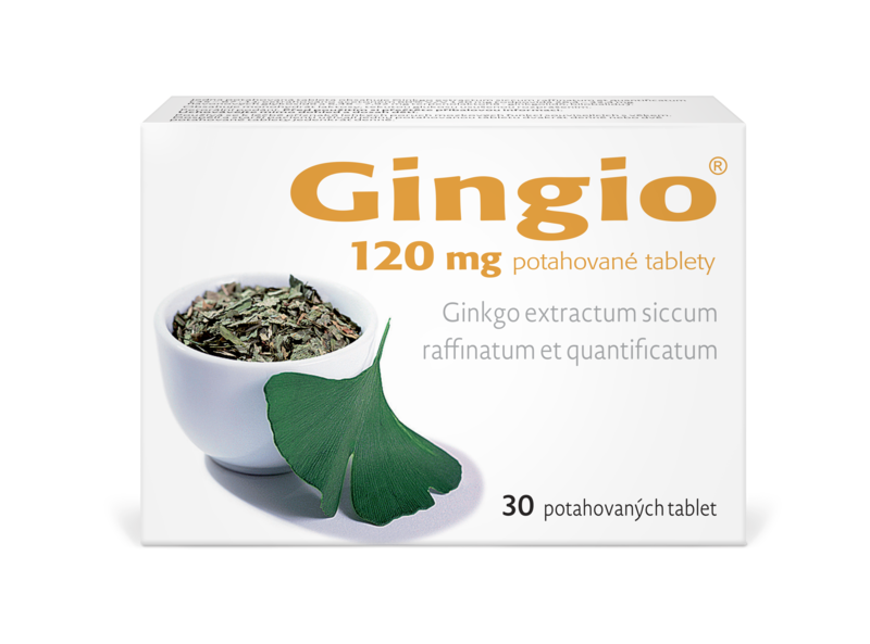 Gingio_120_30tbl_F_2025_nove_logo